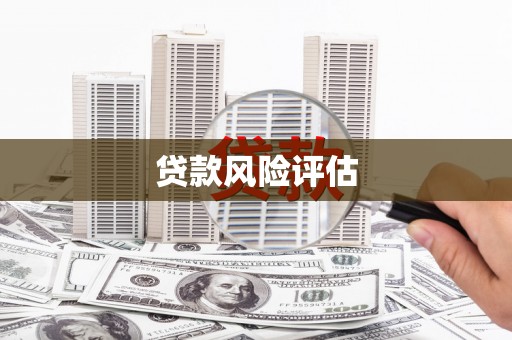 东营贷款风险评估