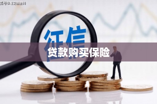 东营贷款购买保险
