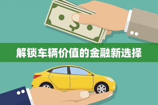 东营解锁车辆价值的金融新选择