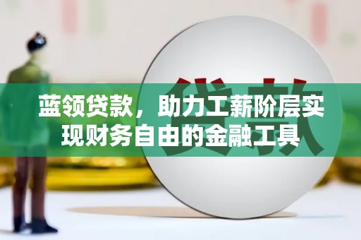 东营蓝领贷款，助力工薪阶层实现财务自由的金融工具