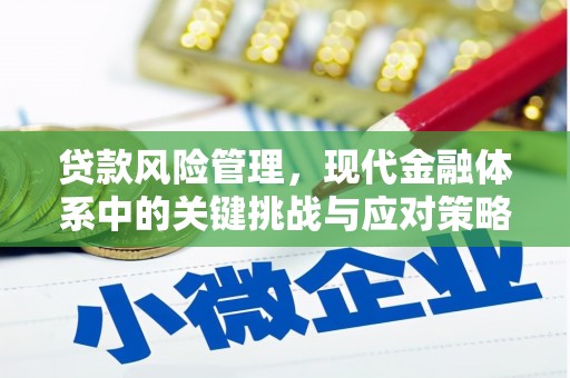 东营贷款风险管理，现代金融体系中的关键挑战与应对策略