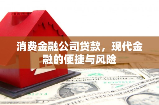 东营消费金融公司贷款，现代金融的便捷与风险