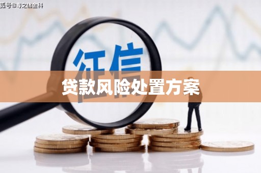 东营贷款风险处置方案