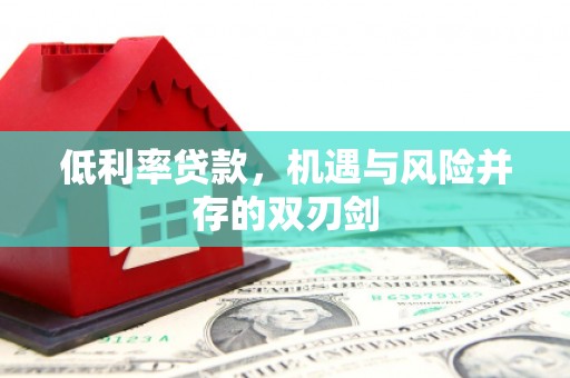 东营低利率贷款，机遇与风险并存的双刃剑