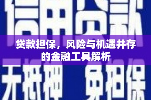 东营贷款担保，风险与机遇并存的金融工具解析