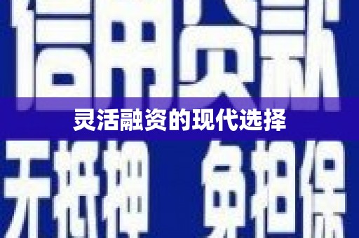 东营灵活融资的现代选择