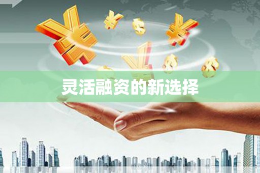 东营灵活融资的新选择