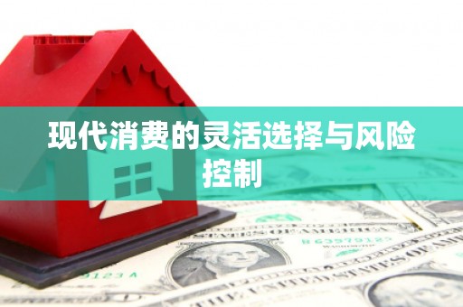 东营现代消费的灵活选择与风险控制