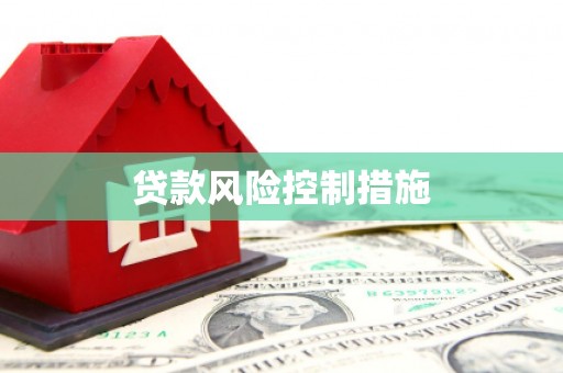 东营贷款风险控制措施