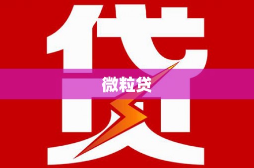 东营微粒贷