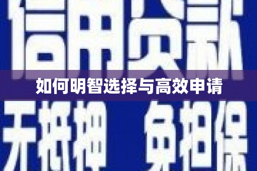 东营如何明智选择与高效申请