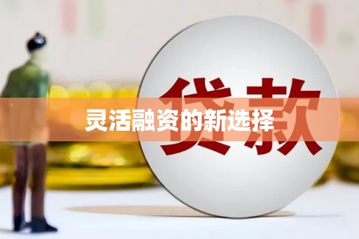 东营灵活融资的新选择