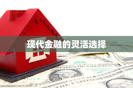 东营现代金融的灵活选择