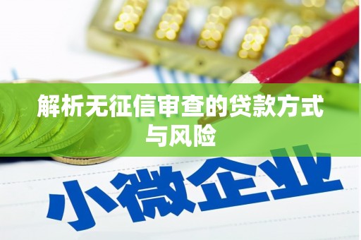 东营解析无征信审查的贷款方式与风险