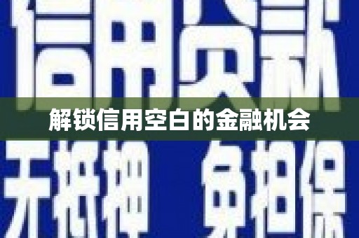 东营解锁信用空白的金融机会