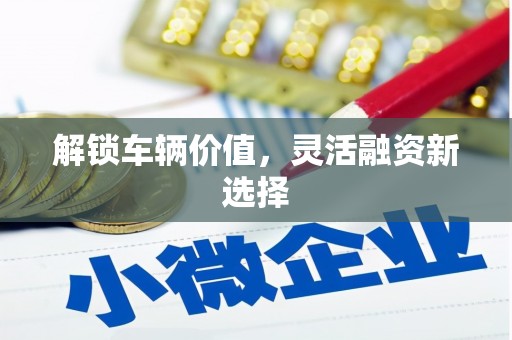 东营解锁车辆价值，灵活融资新选择