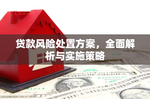 东营贷款风险处置方案，全面解析与实施策略