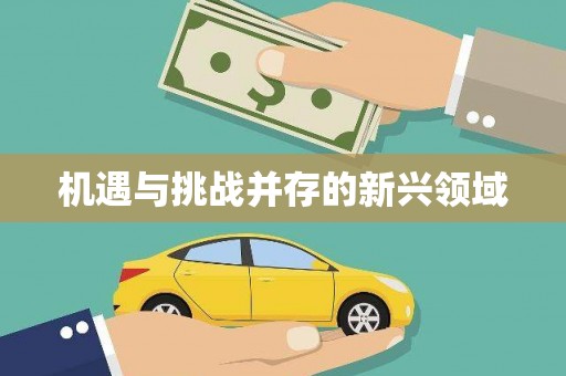 东营机遇与挑战并存的新兴领域