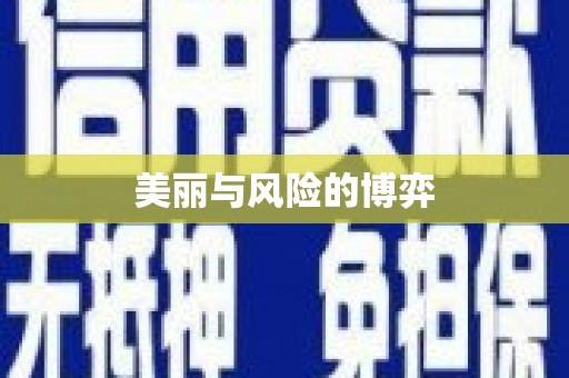 东营美丽与风险的博弈