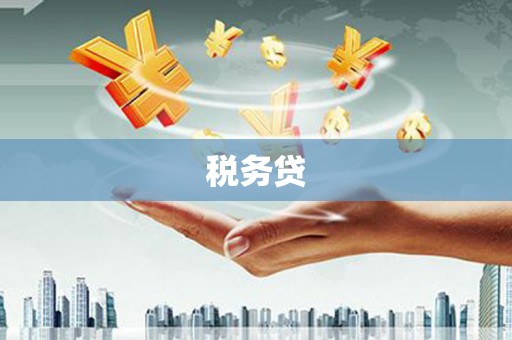 东营税务贷