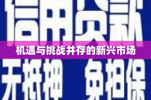东营机遇与挑战并存的新兴市场