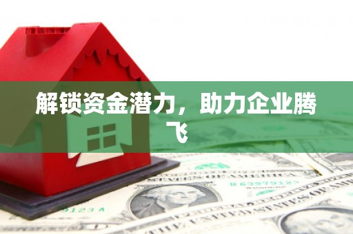 东营解锁资金潜力，助力企业腾飞