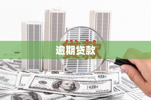东营逾期贷款