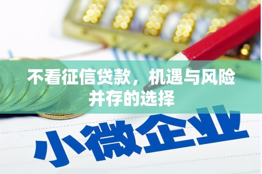 东营不看征信贷款，机遇与风险并存的选择