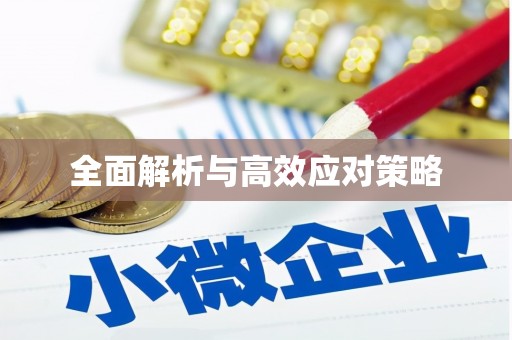 东营全面解析与高效应对策略