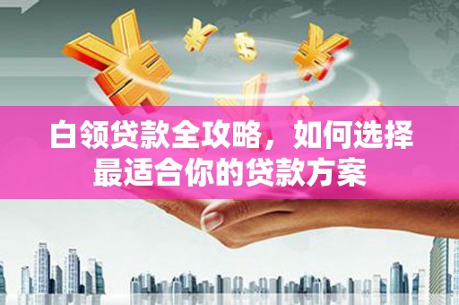 东营白领贷款全攻略，如何选择最适合你的贷款方案