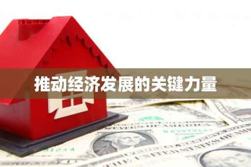 东营推动经济发展的关键力量