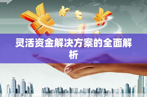 东营灵活资金解决方案的全面解析