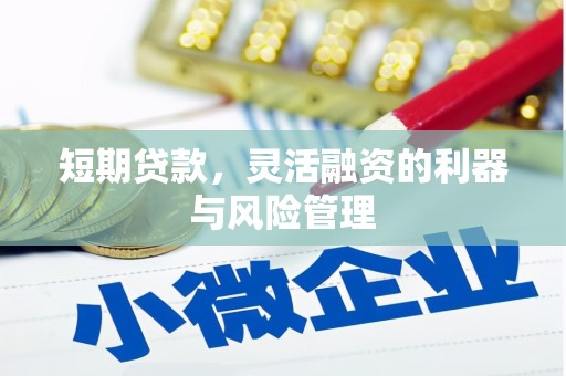 东营短期贷款，灵活融资的利器与风险管理