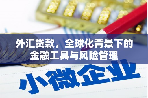 东营外汇贷款，全球化背景下的金融工具与风险管理