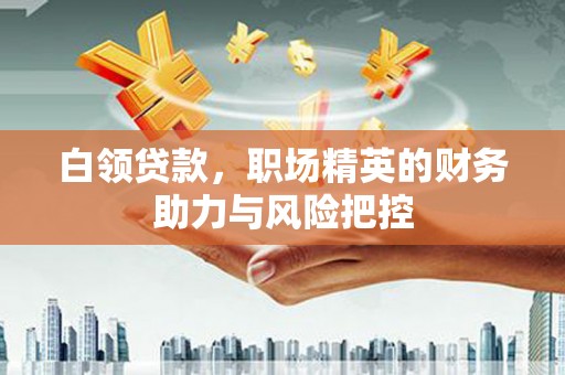 东营白领贷款，职场精英的财务助力与风险把控