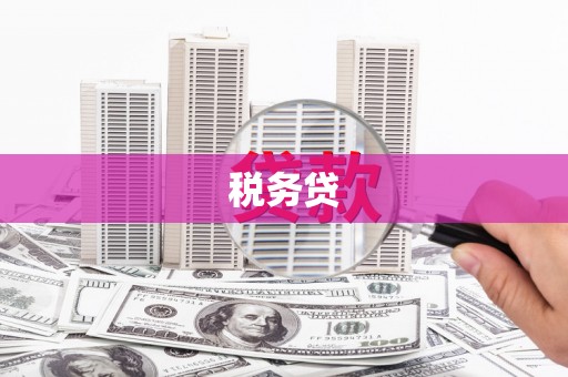 东营税务贷